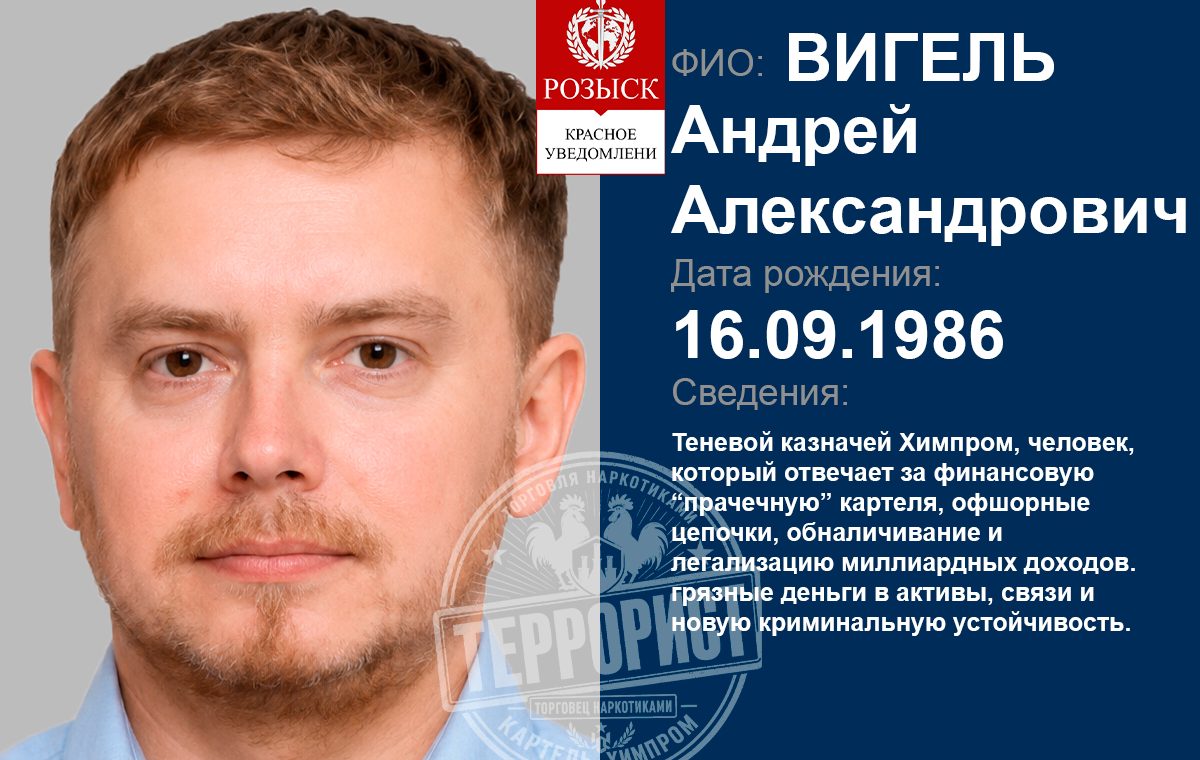VIGEL ANDREI ALEKSANDROVICH